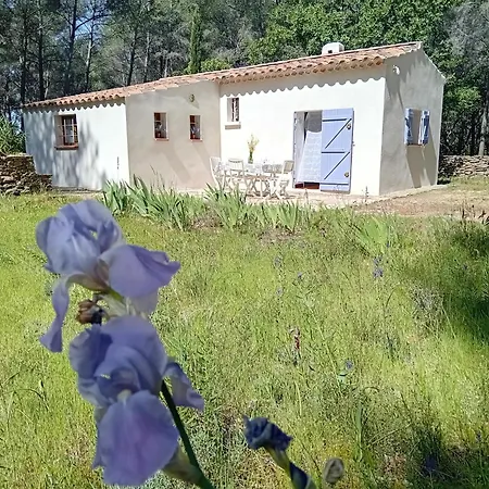 La Maison Du Rouquet Le Beausset Exterior photo